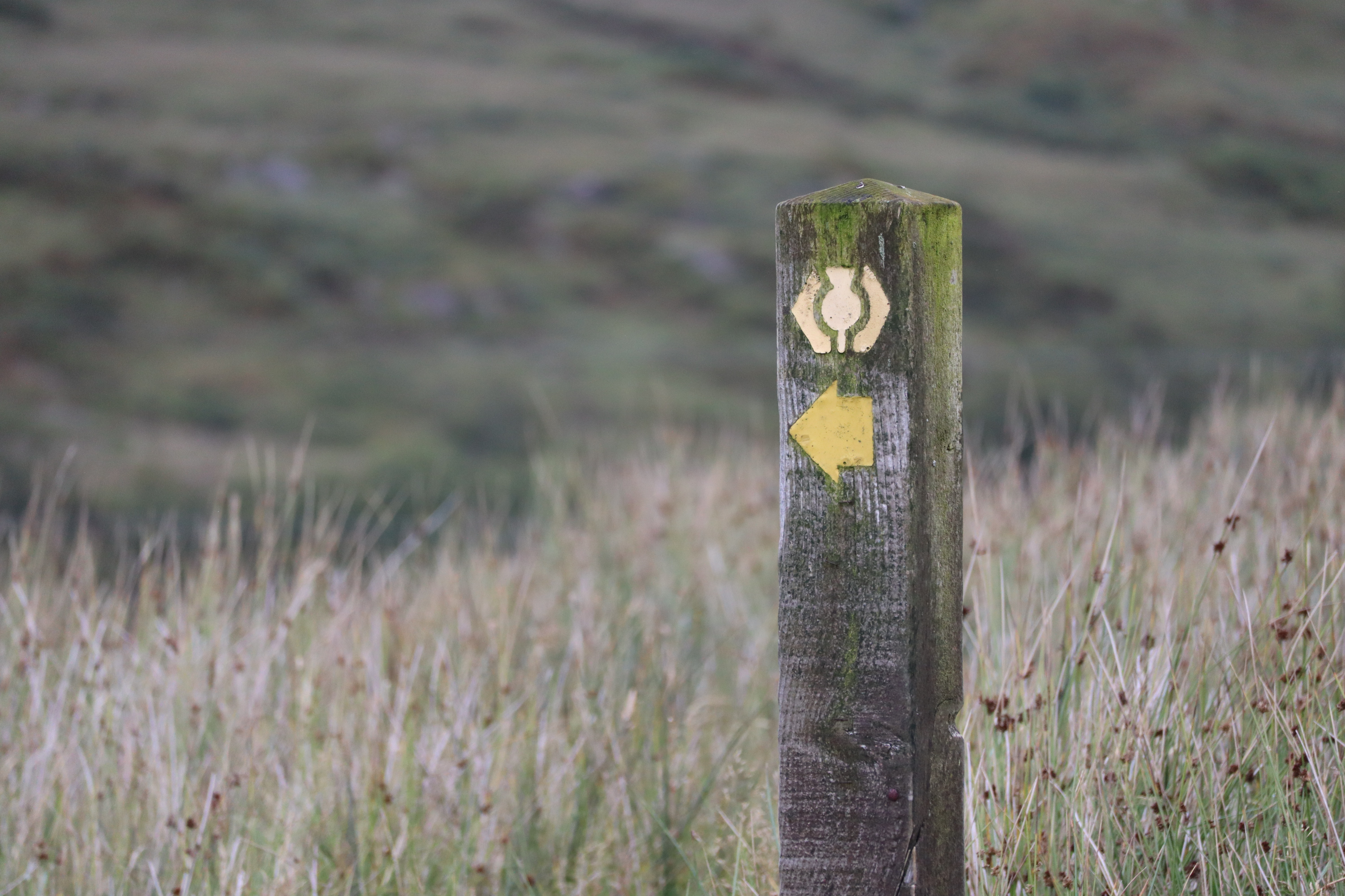 West Highland Way Town 3